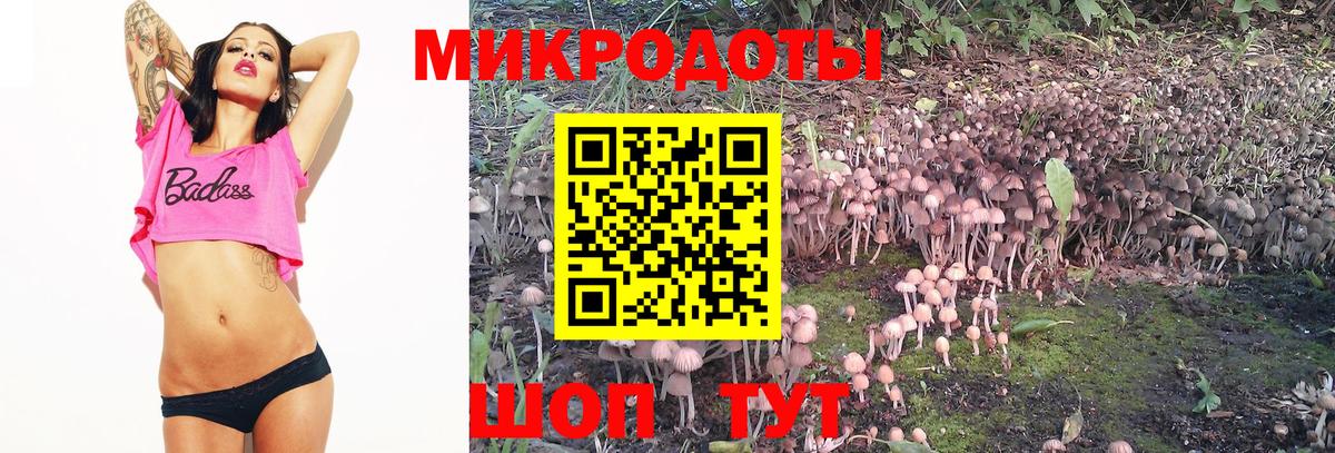 Псилоцибиновые грибы прущие грибы Наро-Фоминск